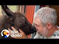 Baby donkey loves to kick her dad when she wants attention  the dodo little but fierce