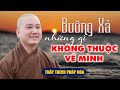 Đừng có Níu Kéo những gì không thuộc về mình - Pháp thoại Thầy Thích Pháp Hòa