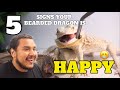 5 More Signs Your Bearded Dragon Is Happy With You!! *Watch This If You Own A Bearded Dragon* Part 2