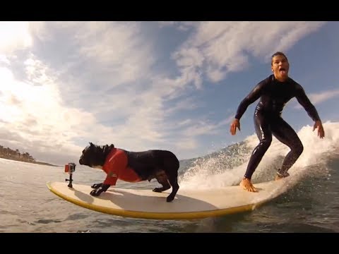Palm Beach — Surf Shop Tenerife
