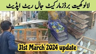 Sunday lalukhet birds market jaal rates update\/31st March 2024 update