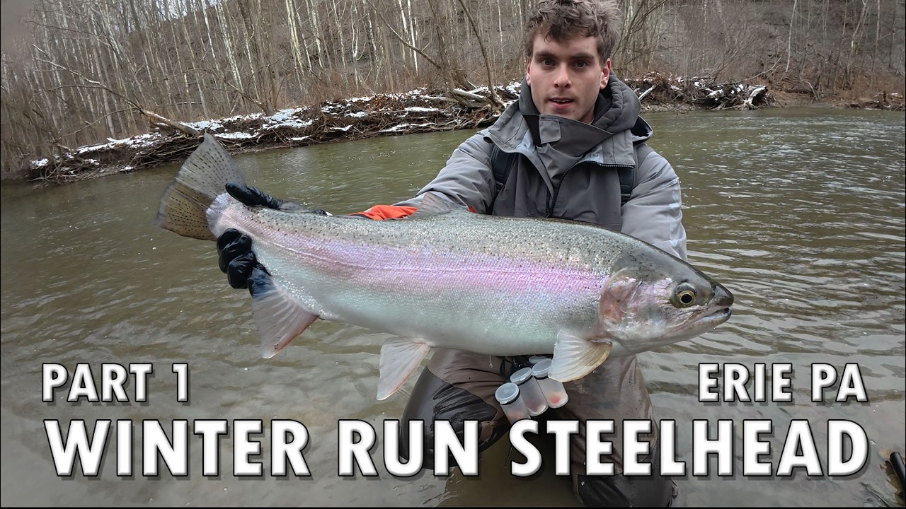 Fresh Run Winter STEELHEAD | Erie PA | Part 1