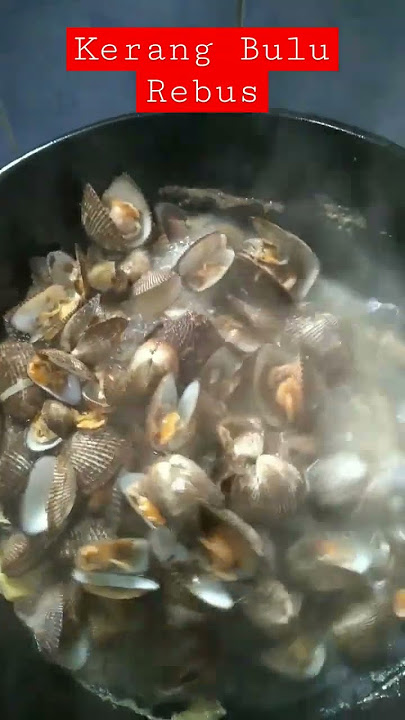 Kerang Bulu Rebus #masakanrumahan #masakankampung #kerang #kerangrebus #kerangbulu