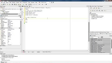 Delphi XE2 - Create Form and Component Attributes are RunTime