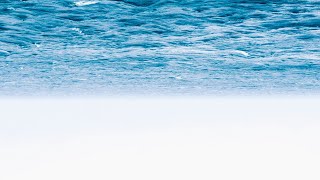 THE ARBELOS | OCEAN (MUSIC VIDEO)