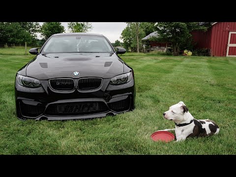 car-guys-professional-detailing-hybrid-wax-review/first-impressions
