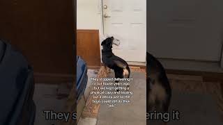 Sad Day For The Newspaper Boys.