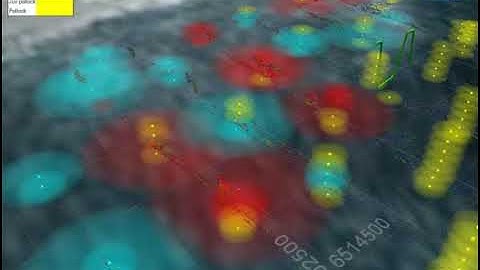 Sea lion track data visualized in Eonfusion