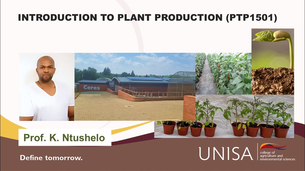 Introduction to Plant Production (PTP1501) Unisa YouTube