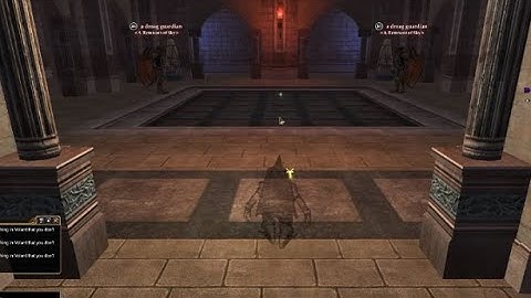 Everquest 2  Part 32 - Introduction to the Hero