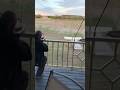 Shooting a feral hog from our porch✨️🤩 #virl
