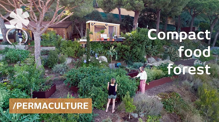 Healing in clever microhome atop tiny food forest ...