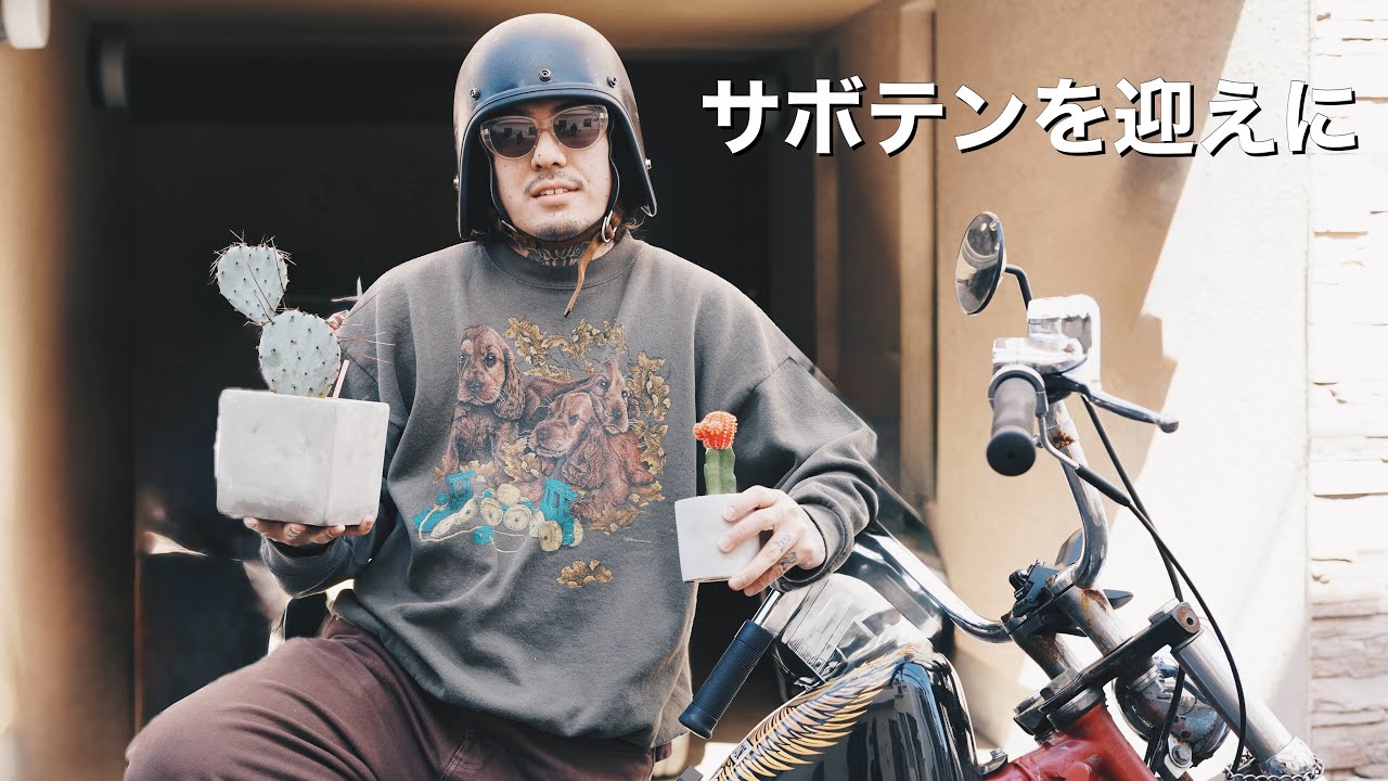 ハーレーショベルでサボテンを迎えに行く。