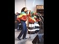 Bob Marley Revolution Zimbabwe Live Wales Full HD 