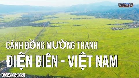 CÁNH ĐỒNG MƯỜNG THANH TRÊN KHÔNG - CÁNH ĐỒNG RỘNG LỚN NHẤT VÙNG TÂY BẮC - MƯỜNG THANH MÙA LÚA CHÍN