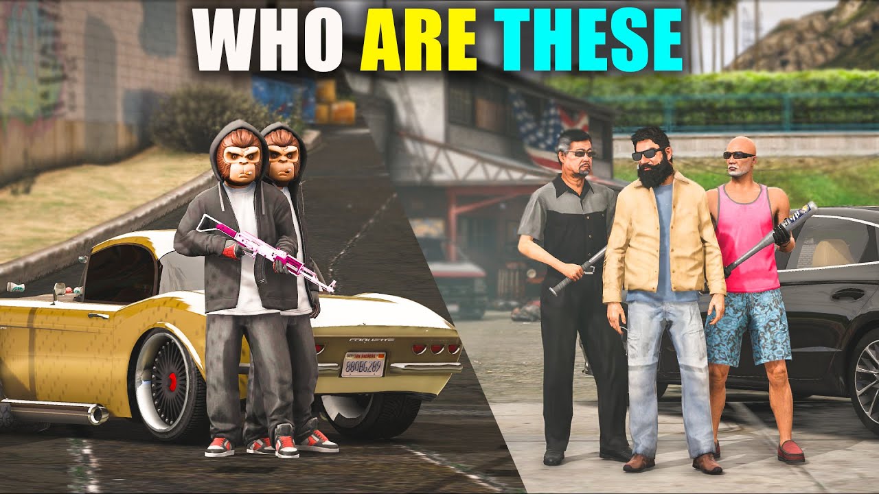 Who Are These Monkeys