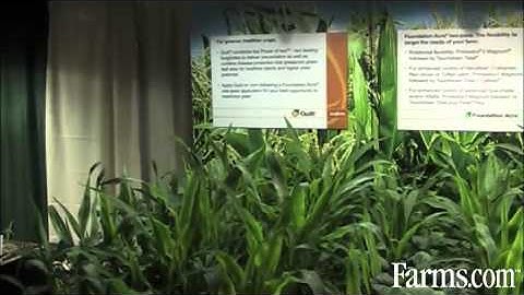 Weed Control Programs in Corn Demonstration by Syngenta Crop Protection