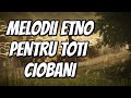 ETNO 2021 PENTRU TOTI CIOBANII Viata de cioban - Melodii de ciobanie - Colaj NOU