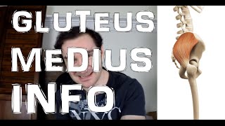 Gluteus Medius Muscle: Why It Is So Important