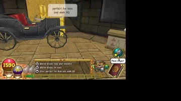 Wizard 101: How to turn into your pet and turn invisible!