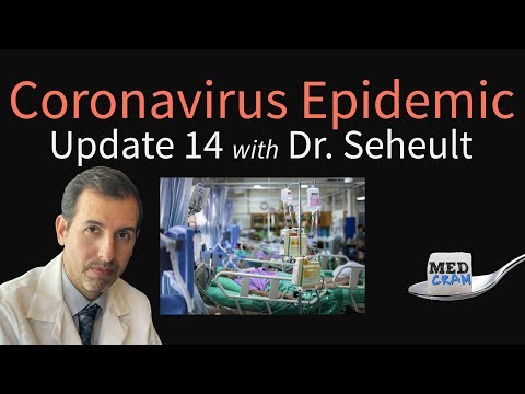 Coronavirus Epidemic Update 14: Hospital spread of infection, WHO allowed in China, N-95 masks