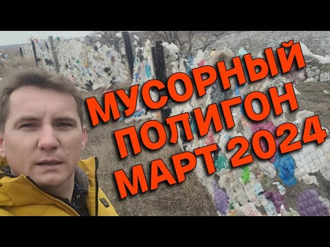 Мусорный коллапс снова повторился в 2024 году