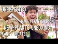 A very fun planty vlog costa farms new plants unboxing cactus rare plant shopping  planty update