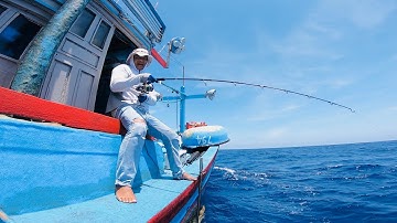 Câu Cá Cam 24KG || Jigging Amberjack 24KG Offshore Phu Quy Island