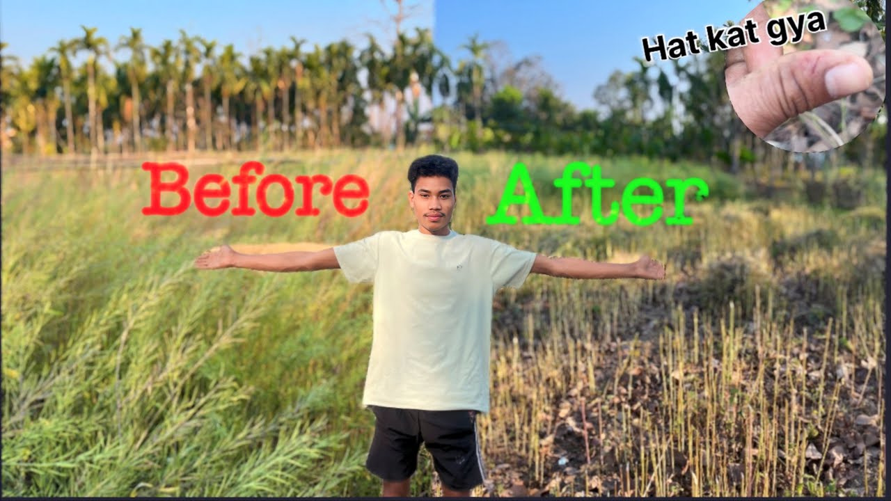 Lai ka guti kata aj  #village #farmar #newyoutuber #newvlog 