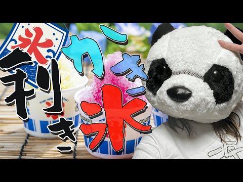 目隠ししてかき氷を食べても、味の違いは分かるのか🍧？！ #利きかき氷