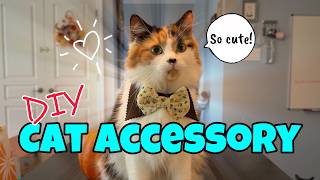A-MEOW-zing DIY Fashion Accessory For Your Cat 🎀