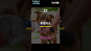 Useful Korean Phrases | Daily life Korean vocabulary  | for beginners
