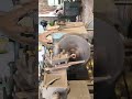 #iron #work #combineharvester #krishiharvester #farmer #agriculture #harvester #krishi #trending