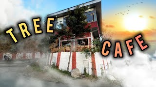 Tree Cafe Dehradun | Branches of beautiful views