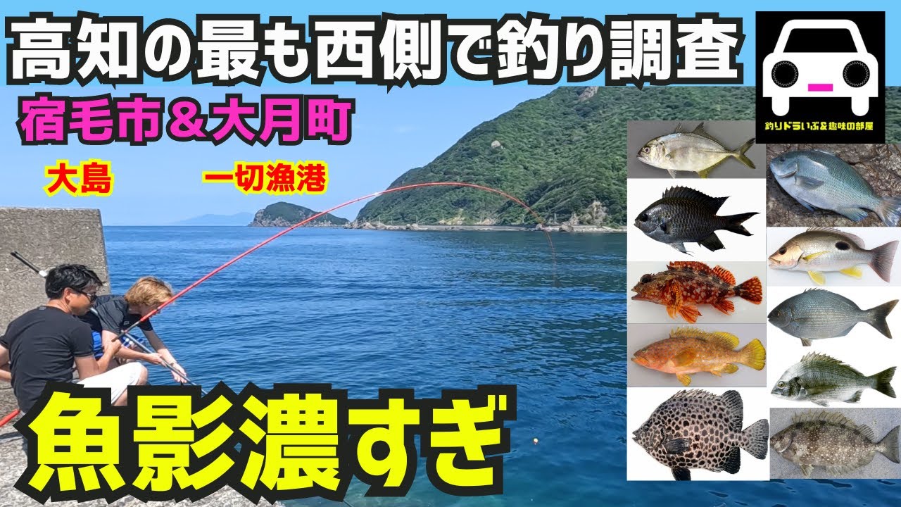 高知の海釣りのすべて　第3版 高知の海釣りのすべて 第3版 - メルカリ