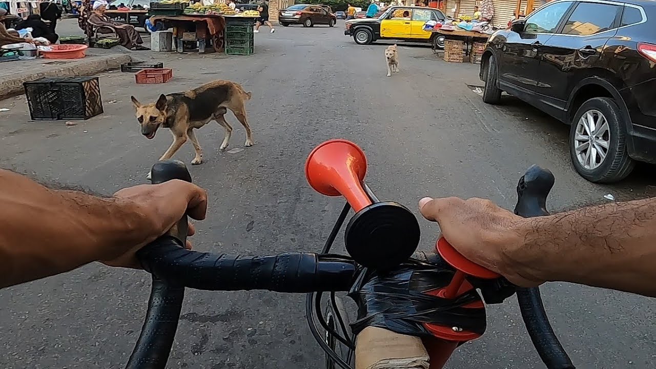 حبة نصائح لسواقة العجلة وخطر الطريق .الجنزير وقع فنص الطريق !!