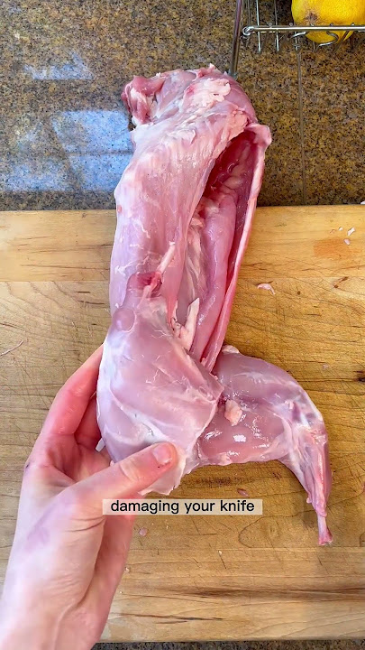 How to break down a whole rabbit #rabbit #cheftips #knifeskills #cooking #chef