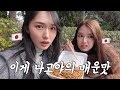 일본 설날에 찾은 나고야 매운 야키소바.. 이게 맵다고요?