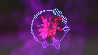 Tagdi Vs dJ SN production palwal...