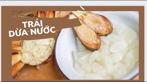 Trái dừa nước và công dụng của cây dừa nước