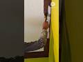 asinpant room ceiling Border Merun colour apply #painting #tending #shots #viralvideo #youtube