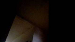 Picture 128.avi