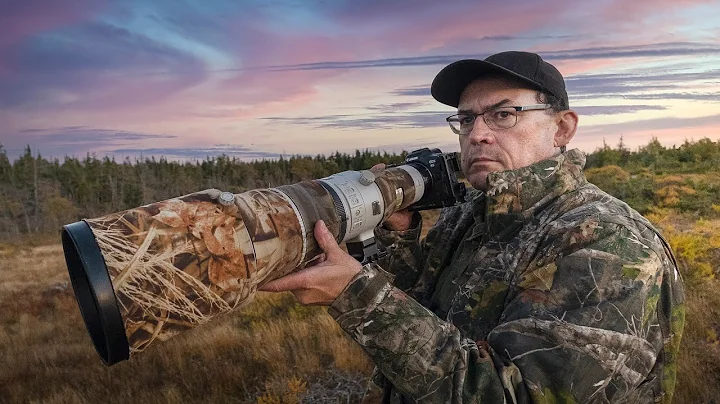 5 TOP PRO TRICKS FOR WILDLIFE PHOTOGRAPHY: take yo...