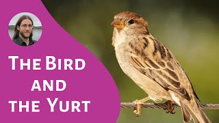 The Bird and the Yurt (Foundational)