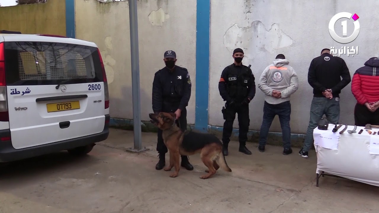 أمن المدية يوقف 05 أشخاص ينشطون ضمن عصابات الأحياء