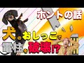 【おしっこで電柱を破壊！？】ニュースにまでなった犬のホットニュース！飼い主さんやっちゃってません！？松本秀樹が徹底的に解説！！