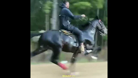 Иноходец