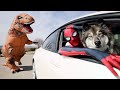 Spiderman & Kakoa Escape Giant T Rex! POV Chase