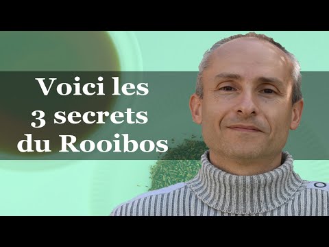 Vidéo: Thé Rooibos Pour Perdre Du Poids - Avantages Et Comment Le Préparer