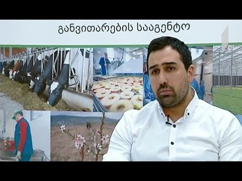 მერძევეობის განვითარების პროგრამა